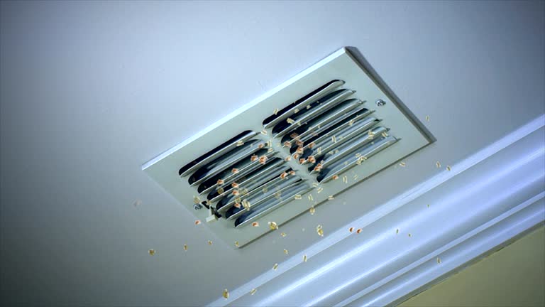 Best Local Air Duct Cleaning Services  in Pike Creek, DE